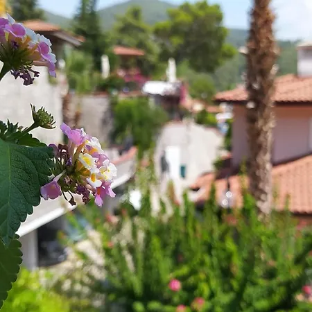 Only Blue Terrace Life Göcek