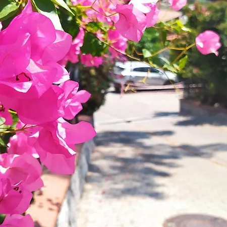 Only Blue Terrace Life Apartman *