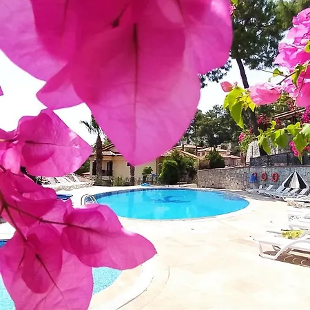 Apartman Only Blue Terrace Life