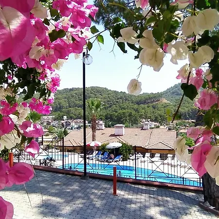 Apartman Only Blue Terrace Life